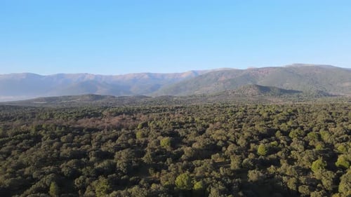 drone flight descending over a forest in a valley in Spain with wonderful mountains in the backgroun