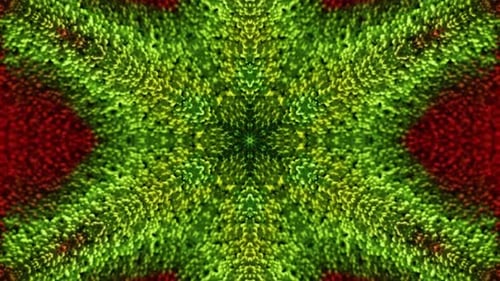 Abstract Green Red Organic Kaleidoscope Loop Background