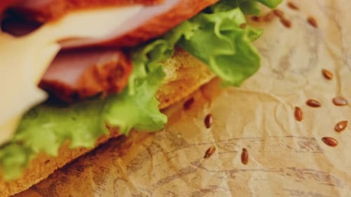 Macro View of Sandwich with Meat and Cheese