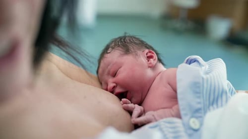 Close-up of a Newborn Infant Nursing Shortly After Birth, Highlighting the Importance of