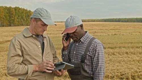 Mature Black Farmer Speaking By Phone in Wheat Field