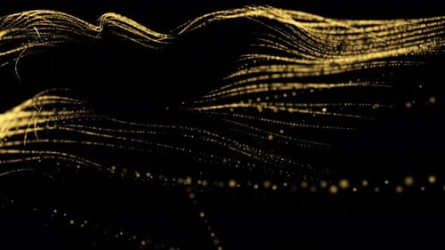 Digital Lines Loop