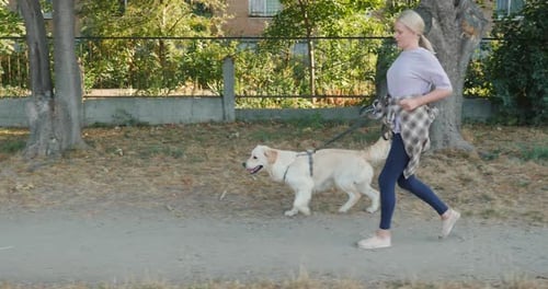 Woman Jogging with Golden Retriever on Leash