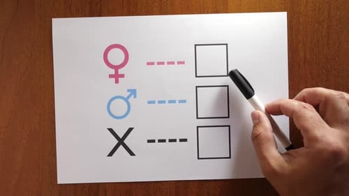 17 l Eine Person wird durch ihr Geschlecht bestimmt. Blatt Papier mit Geschlechtersymbolen. Das Recht auf seinen Ausweis