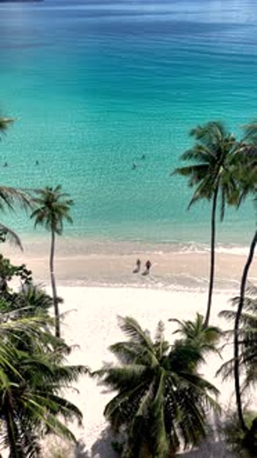 Explore the Pristine Beaches of Koh Kood Island in Thailand with Clear Blue Waters