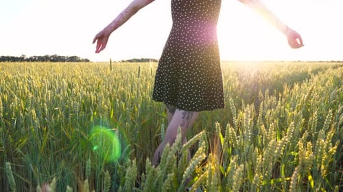 Pretty Hippie Girl in Dress Standing on Green Barley Field and Raising Hands at Sunset Happy Punk