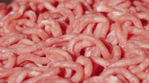 Fresh Pork and Beef Minced Meat Macro Close Up Chicken Turkey Mix Burger Meat