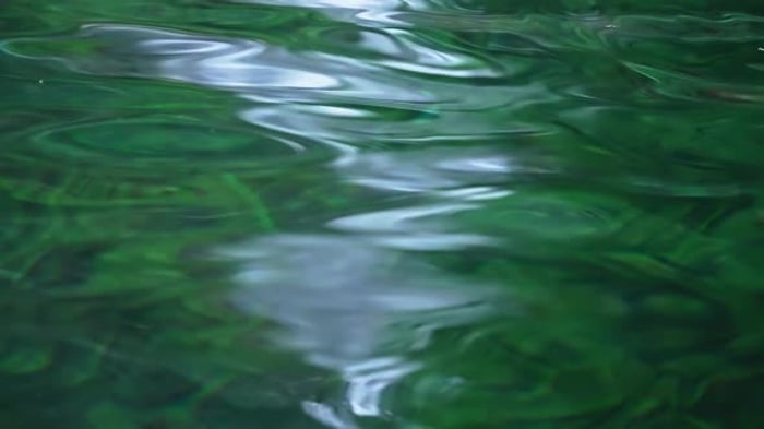 4K Water Ripples Video Background, Backgrounds Motion Graphics ft ...