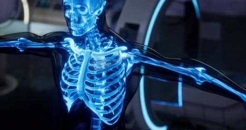 Blue Illuminated Human Skeleton Highlighting Bone Structure