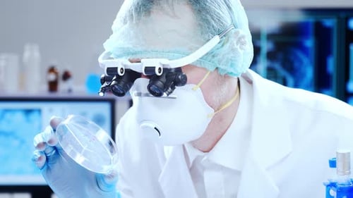 Medical Professional Examines Petri Dish in Lab