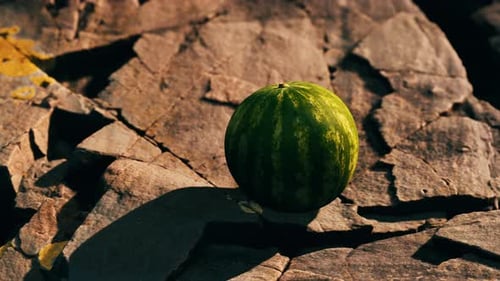 Watermelon Fruit Berry on Rocky Stones
