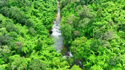 Stunning waterfall in a tropical forest from a bird's eye view.