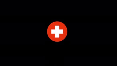 Minimalist Medical Cross Logo Reveal Animation