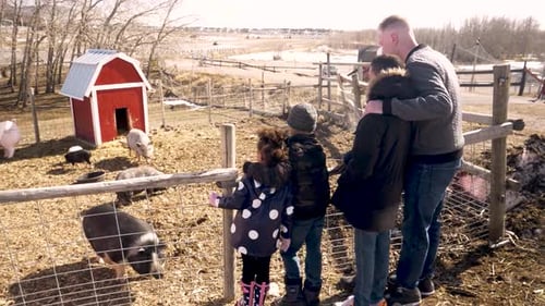 Family Farm Visit Piglet Bonding