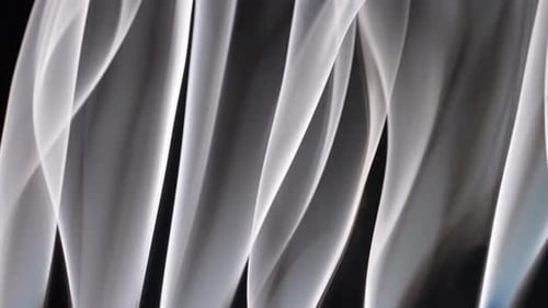 Wispy Abstract Smoke Drifting on Black Background