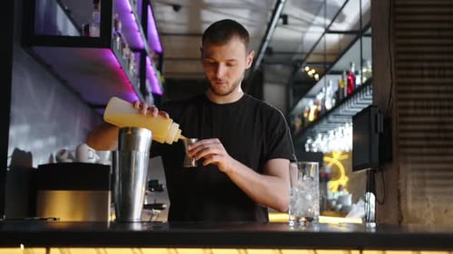 the Bartender Makes an Alcoholic Cocktail in a Shaker at the Bar Counter