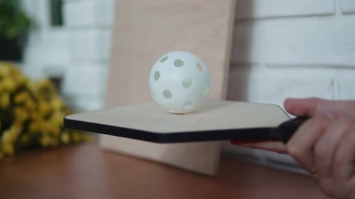 Pickleball Ball Rests on Paddle Indoors