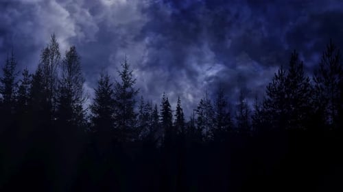 Dark Forest, Woods