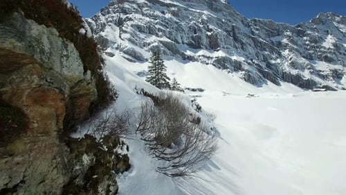 Snow Covered Forest Landscape Scenery in Winter Season