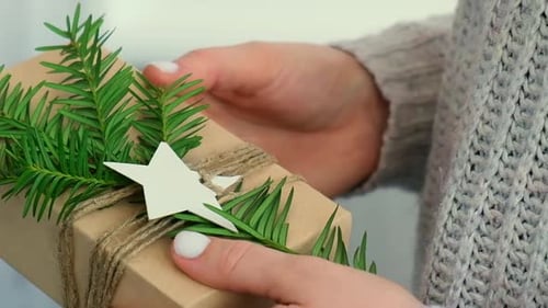 Woman Giving Box with New Year's Gifts Wrapped in Craft Paper and Decorated with Fir Branch