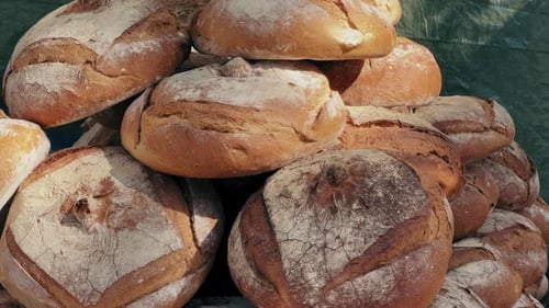 Bakery Concept Homemade Bread on Showcase at the Food Market Organic Fresh Bread