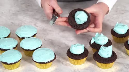 Time Lapse Decorating Chocolate Cupcakes with Buttercream Frosting and Rainbow Candy
