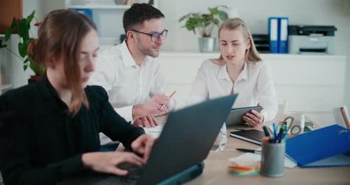 Young Male and Female Colleagues Working in Office
