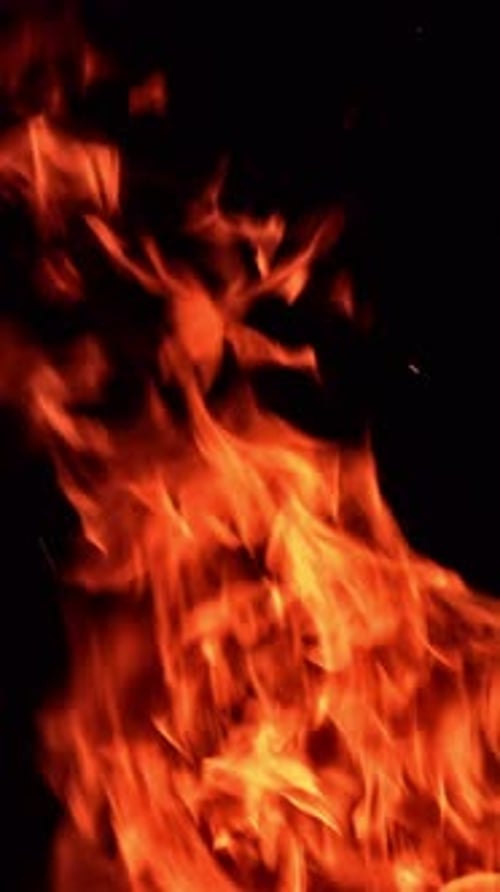 Feuerflammen bewegen sich in der Dunkelheit schnell zu verschiedenen Seiten. Feuerzungen fliegen hoch. Nahaufnahme.