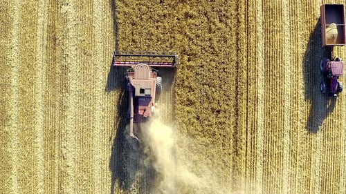 Vidéo d'un Drone 4K montrant un tracteur labourant un champ dans une ferme