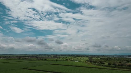 Dramatic Blue Sky and White Clouds Over Vast Green Farmland