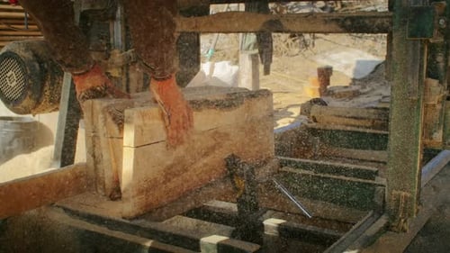Wood being cut by sawing machine in lumbermill