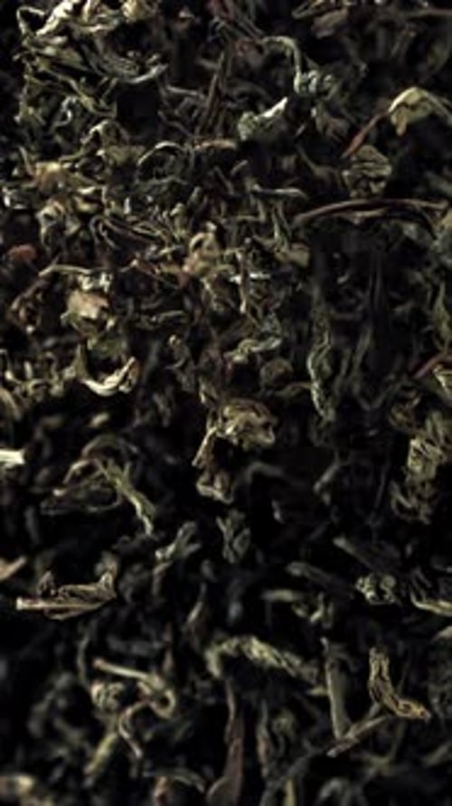 Dry Tea Flies Up and Down Filmed on a Highspeed Camera at 1000 Fps