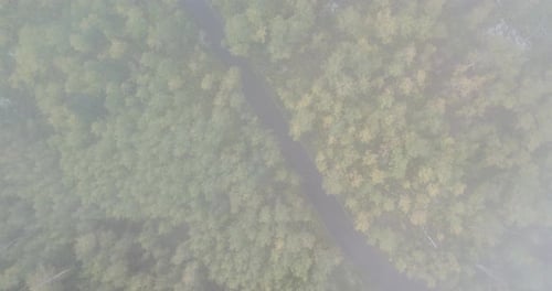 Aerial descent through cloud above Alpine Loop road and fall forest