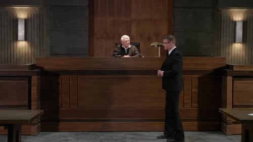 Lawyer - Male delivering address to the court legal scene