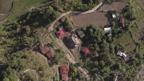 mountain village red tops of homes farms in backyard with trails weaving through trees connecting c