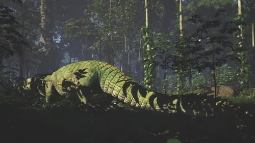 Crocodile se reposant dans le feuillage dense de la jungle pendant la journée