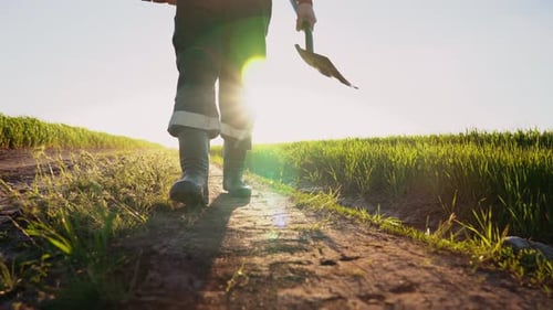 Ein Bauer geht bei Sonnenuntergang in Gummistiefeln über ein Feld Agronom geht in Gummi über das Feld
