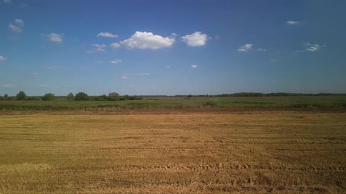 Wheat field aerial view in Ukraine
