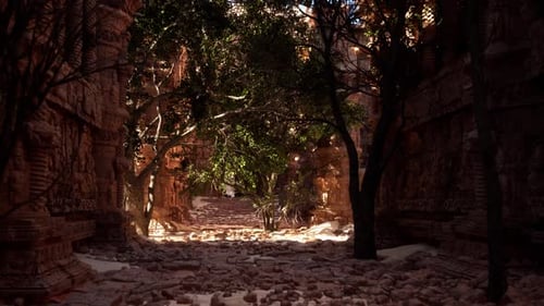 Une ruelle avec des arbres et des rochers au sol