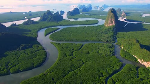 Drone flying over a river with a large mangrove forest