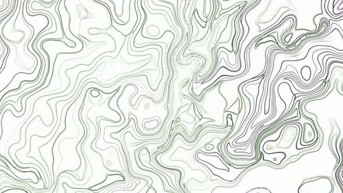 Abstract Flowing Contour Lines Animated Background