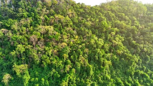 Majestic tropical forest on towering mountains by aerial view drone.