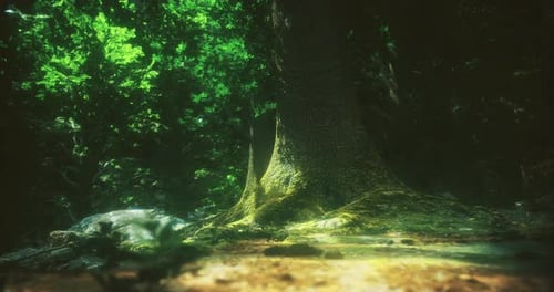 Exploring the Serene Atmosphere of a Lush Forest with Majestic Trees