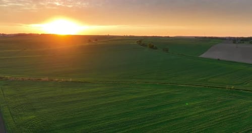 Golden Sunrise Over Vast Green Farming Fields