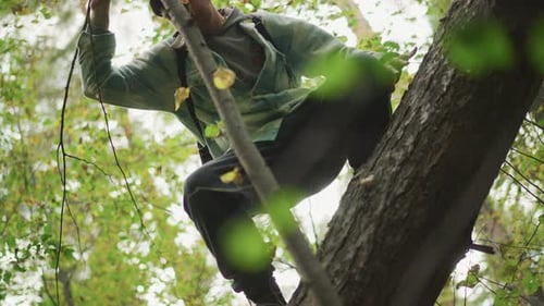 Man climbing on tree trunk in the forest