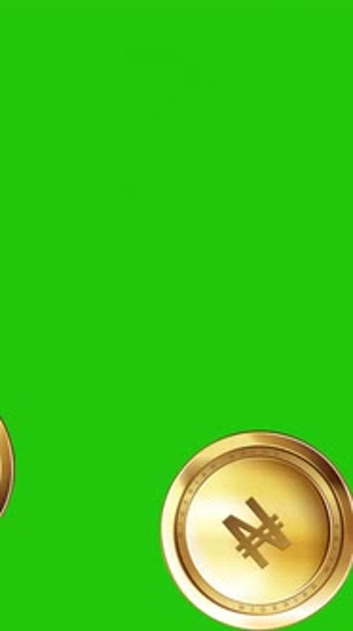 Naira3D animation of falling golden Nigerian Naira coins over green screen with alpha luma matte