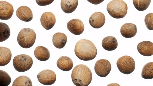 Floating Coconuts on White Background Seamless Loop