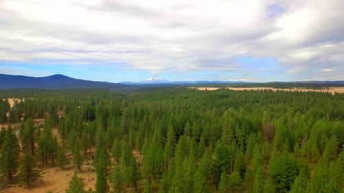Aerial View of Oregon Forest and Mountains Under Blue Sky 2 Above