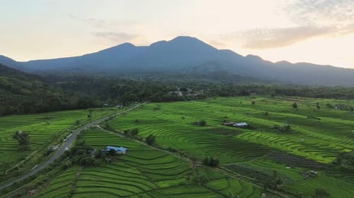 Beautiful morning view indonesia panorama landscape paddy fields with beauty color and sky natural