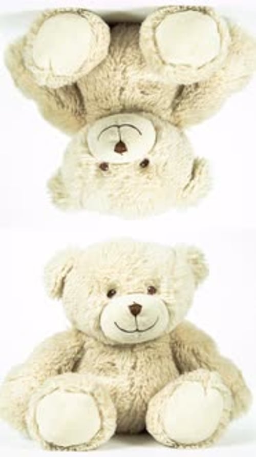 Teddy Bear Spinning in Vertical
